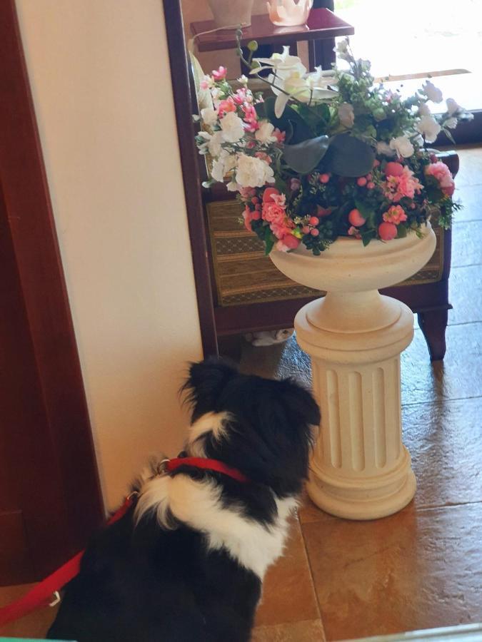 Griko Country Hotel Λέτσε Εξωτερικό φωτογραφία